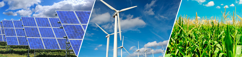 energy Energia